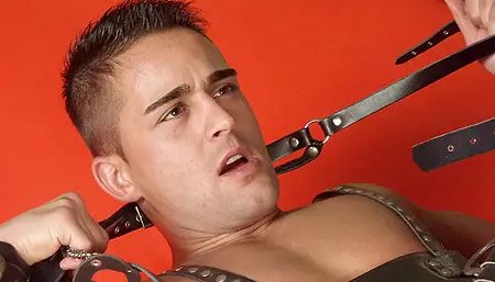 Gay BDSM